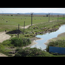 Unterhalb des Damms des Sees Balta Mostiștea